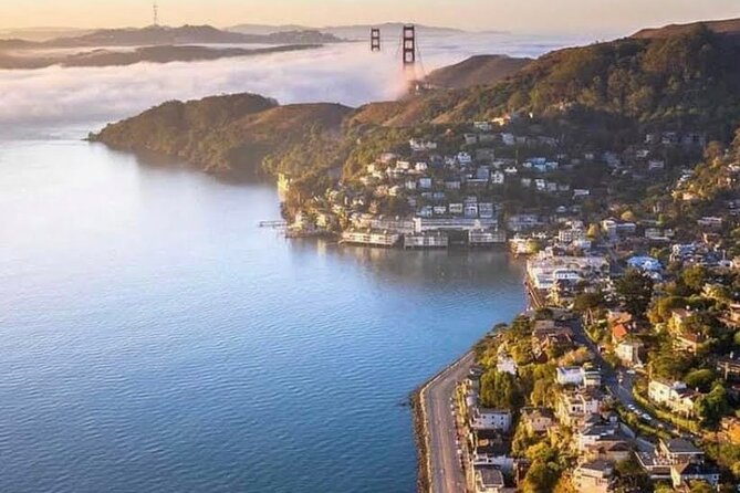 4-Hour Private Sightseeing Tour to Muir Woods, Sausalito and Golden Gate Bridge - Additional Reviews on Tripadvisor
