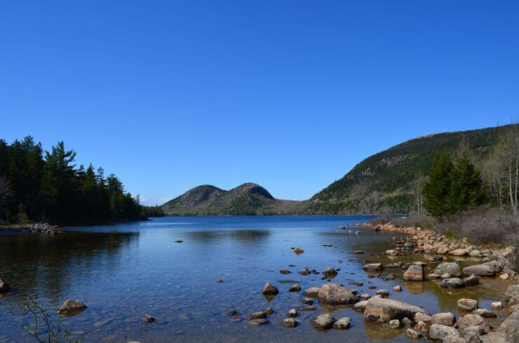 4 Hour Private Tour: Acadia, Fjord, Gardens & Mansions - Tour Overview