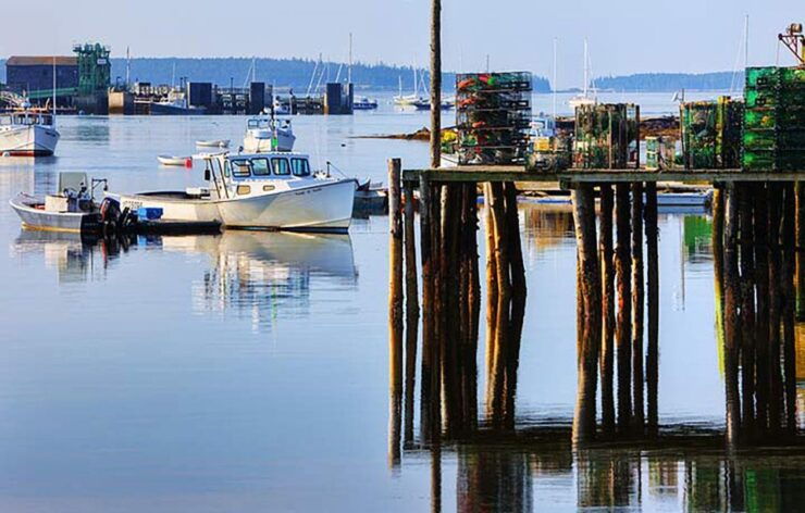 4 Hour Private Tour: Acadia, Fjord, Gardens & Mansions - Experience Highlights
