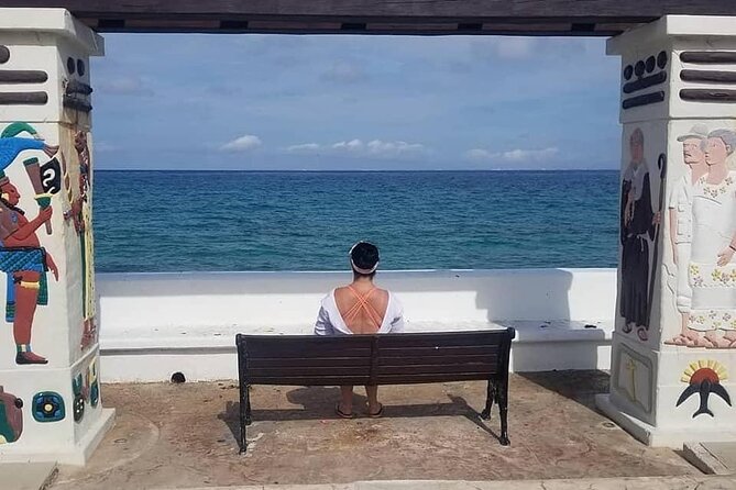 4-Hour Private Tour in Cozumel With Pickup - Additional Information