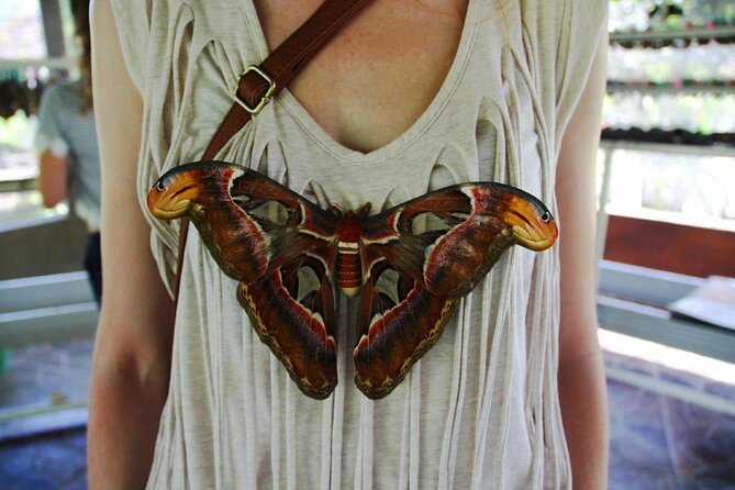 4-Hour Private Tour in Jatiluwih Terraces and Butterfly Park - Itinerary Details and Schedule