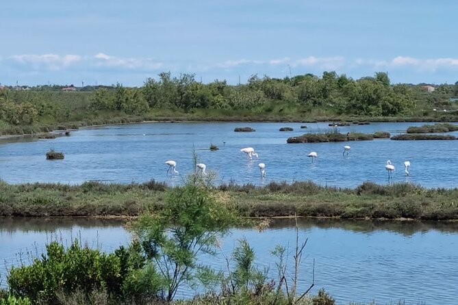 4-Hour Private Tour in the Northern Lagoon With Traditional Boat - Inclusions