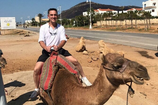 4 Hour Private Tour of Tangier - Reviews and Testimonials