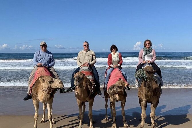 4 Hour Private Tour of Tangier - Tour Information