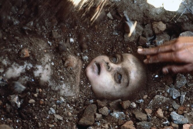 4-Hour Private Tour of the Bhopal Gas Tragedy Site - Reviews