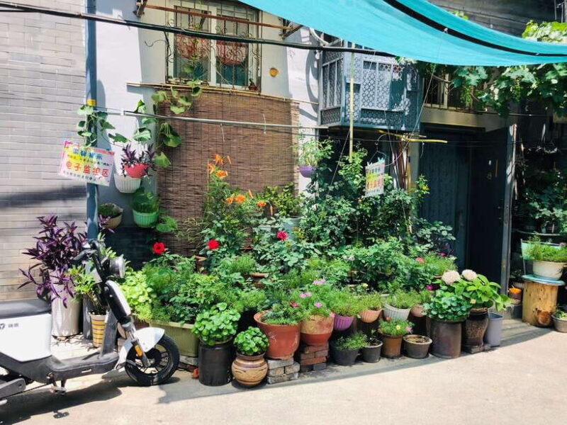 4-Hour Private Walking Tour of Lama Temple and Hutong - The Sum Up