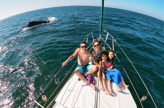 4-Hour Private Whale Watching in Puerto Vallarta - Frequently Asked Questions (FAQs)