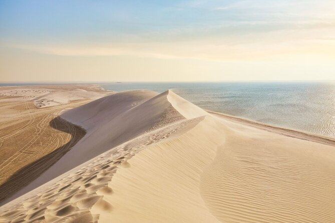 4 Hour Qatar Desert Safari Tour - Pricing and Inclusions