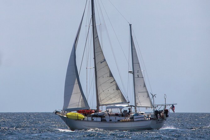 4 Hour Sailing Tour of Vineyard Haven Harbor and Sound - Booking Information