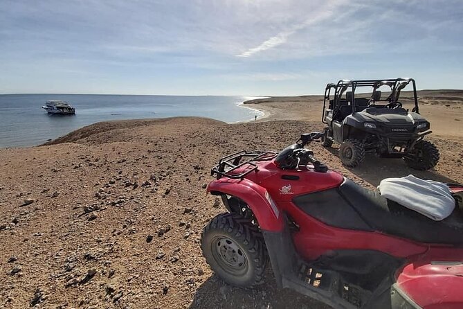 4-Hour Sand Buggy Safari in Hurghada With a Sunset and Dinner - Weather Contingency