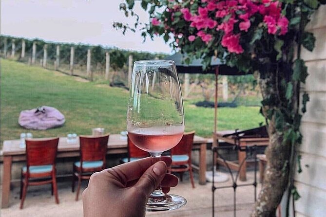 4-Hour Scenic Wine Tour With a Private Guide and 12 Tastings - Activity Duration and Cancellation Policy