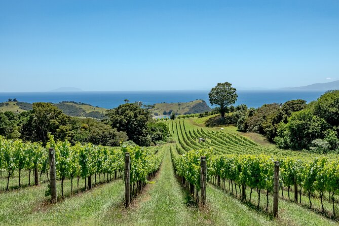 4-Hour Scenic Wine Tour With a Private Guide and 12 Tastings - Review 3 - Lunch Confusion