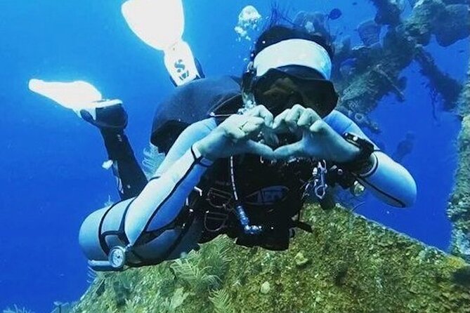 4 Hour Scuba Diving Course in Tayrona Park - Booking Information
