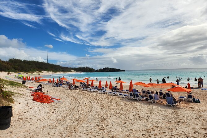 4 Hour Shared Pink Beach Excursion in Bermuda - Common Questions
