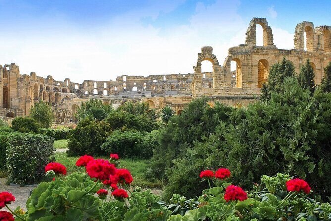 4 Hour Shared Tour in El Jem Colosseum - Why This Tour Offers Good Value