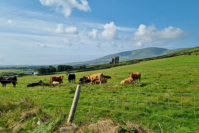4 Hour Slea Head Drive Tour - Personal Chauffeur Guided Tour - The Sum Up