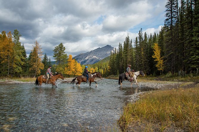 4 Hour Sulphur Mountain Horseback Ride - Pricing and Terms