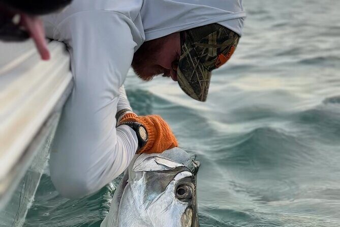 4 Hour Sunset Seasonal Tarpon Charter from Key West - Good To Know