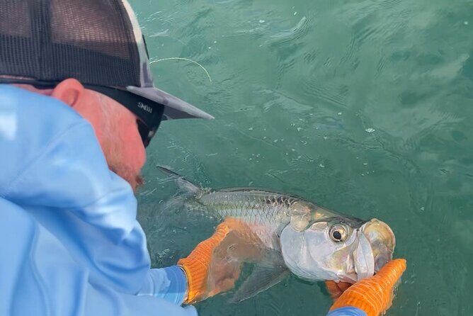 4 Hour Sunset Seasonal Tarpon Charter from Key West - What to Expect on Your Trip