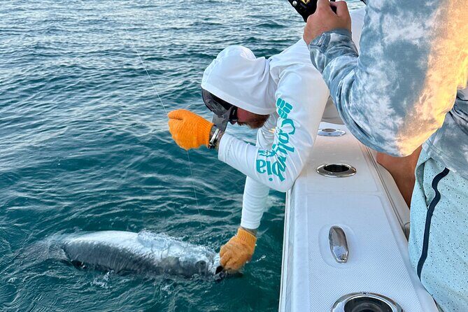 4 Hour Sunset Seasonal Tarpon Charter from Key West - Price and Value