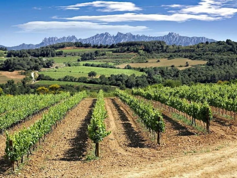 4-Hour Supercar Route to a Catalan Winery from Barcelona - Practical Considerations and Tips