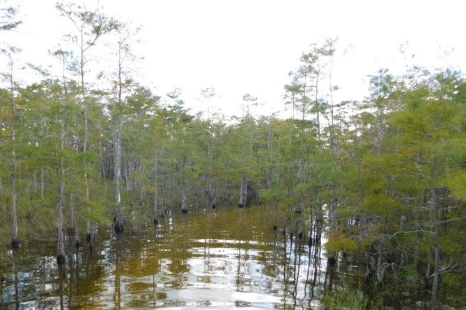 4-Hour Swamp Buggy Adventure Tour in Florida - Inclusions