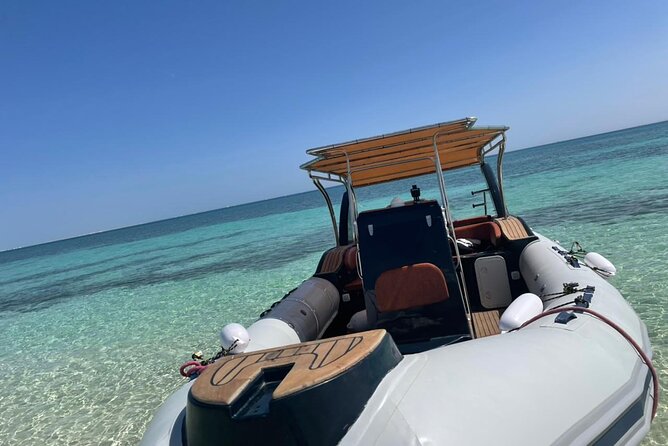 4-Hour Swim With Dolphins and Subwing Game in a Private Speedboat in Hurghada - Booking Information