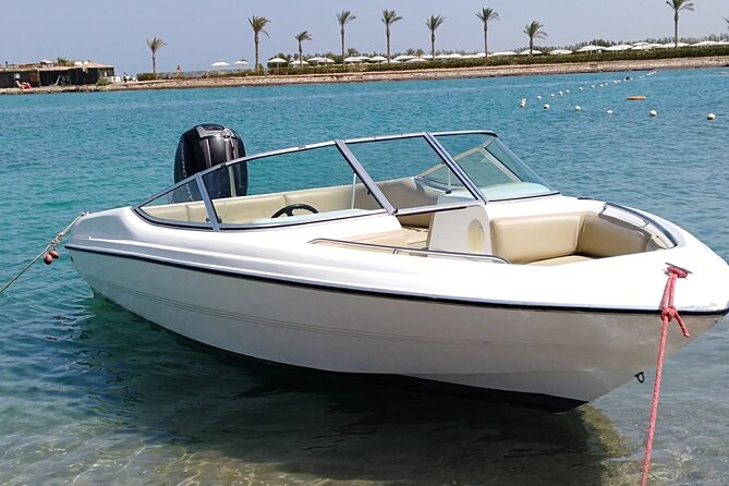 4-Hour Swim With Dolphins and Subwing Game in a Private Speedboat in Hurghada - Weather Contingency Plan