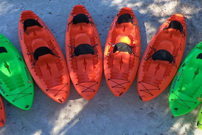 4 Hour Tandem Kayak Rental For Two People In Crystal River, Florida - Overview and Experience