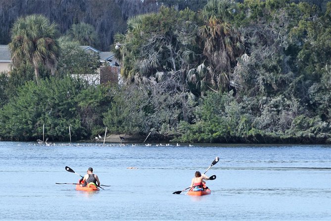 4 Hour Tandem Kayak Rental For Two People In Crystal River, Florida - Meeting and Pickup