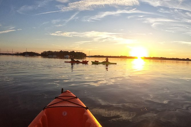 4 Hour Tandem Kayak Rental For Two People In Crystal River, Florida - Expectations and Requirements