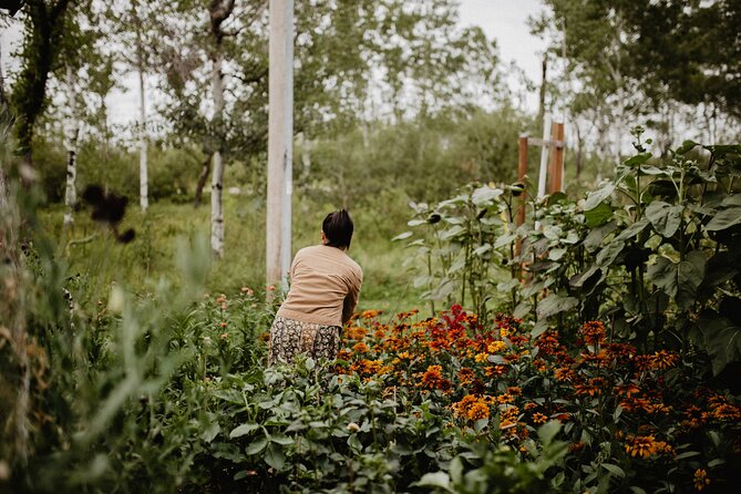 4-hour Tinta Experience At the Farm in La Broquerie - Overview and Accessibility