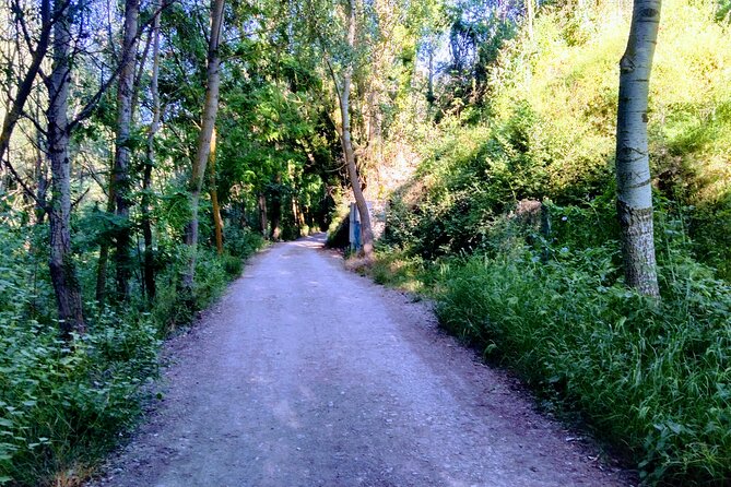 4-Hour Tour Hiking With Legends Río Genil and Cenes Vega - A Thrilling 4-Hour Hiking Adventure