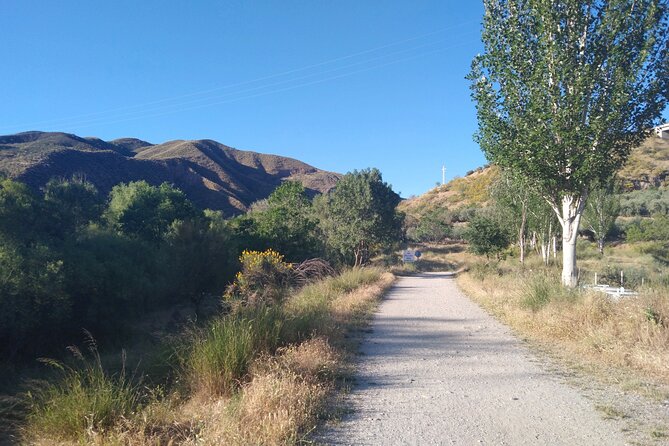 4-Hour Tour Hiking With Legends Río Genil and Cenes Vega - Practical Tips for a Memorable Experience