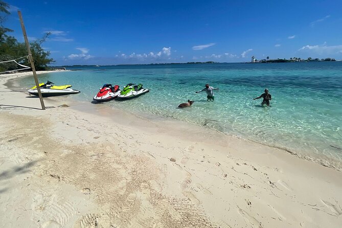 4-Hour Tour in Bahamas With Jet Ski and Swimming With Pigs - The Sum Up