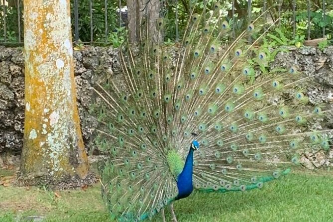 4-Hour Tour of Miami Biscayne Bay Island Boat Trip - Miscellaneous Information