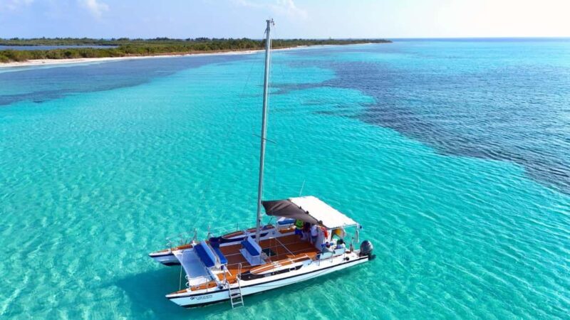 4 Hour Turtle Sanctuary Experience on a Luxury Catamarán - Good To Know