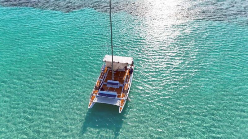 4 Hour Turtle Sanctuary Experience on a Luxury Catamarán - Real Travelers’ Perspectives