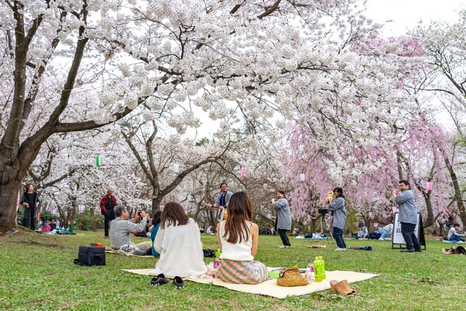 4 Hour Unique Kanazawa Cherry Blossom Sakura Private Experience - Itinerary for the 4-hour Sakura Experience