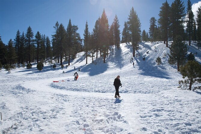 4 hour Vegas Winter Adventure: Mt. Charleston Snow Day - An In-Depth Look at the Experience