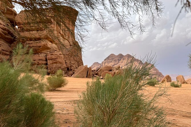 4 Hour Wadi Rum Desert Private Jeep Tour - Booking Information