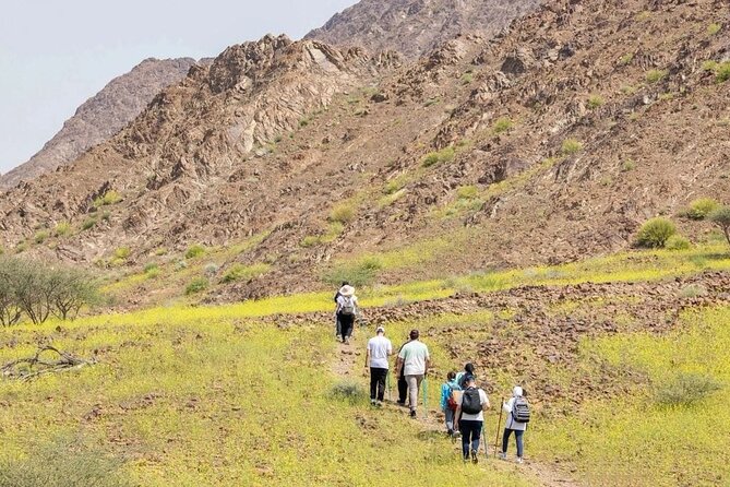 4 Hours Adventure Trip In Hatta Dubai - Meeting and Pickup Details