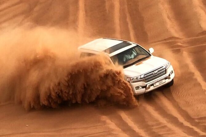 4 Hours Afternoon Desert Safari (private) - Additional Activities