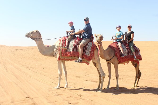 4 Hours Afternoon Desert Safari (private) - The Sum Up