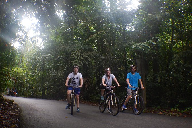 4 Hours Cycling in the Nature at Pulau Ubin Singapore - Overall Experience and Recommendations
