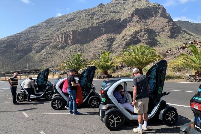 4 Hours Eco Safari Tour With Electric Car in Tenerife - Pricing and Booking