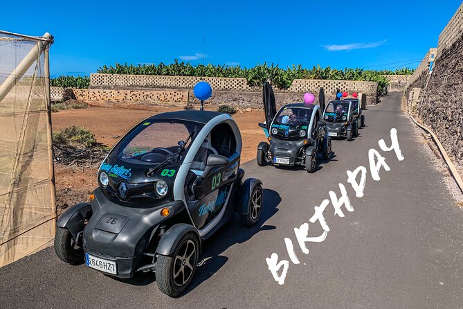 4 Hours Eco Safari Tour With Electric Car in Tenerife - Reviews