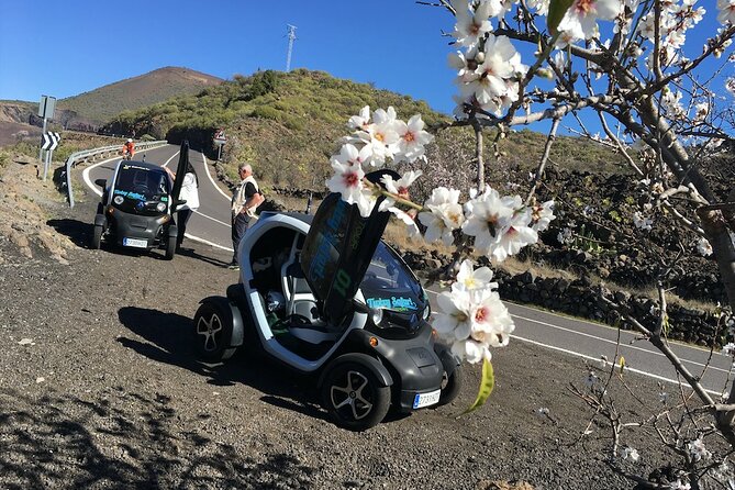 4 Hours Eco Safari Tour With Electric Car in Tenerife - Tour Highlights and Positive Reviews