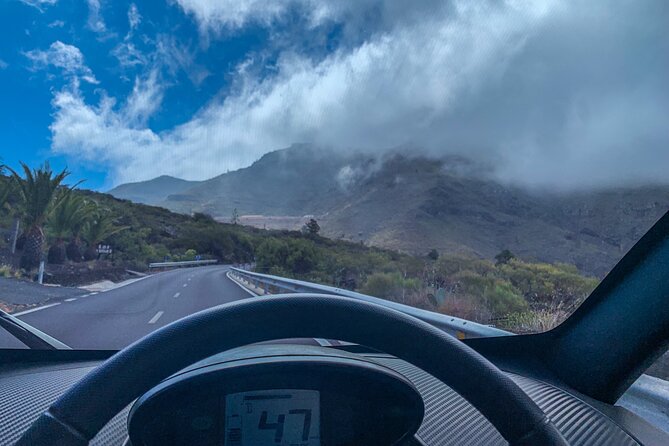 4 Hours Eco Safari Tour With Electric Car in Tenerife - Banana Plantation and Local Delicacies