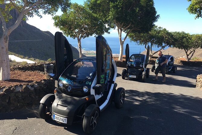 4 Hours Eco Safari Tour With Electric Car in Tenerife - Fun and Informative Safari Experience